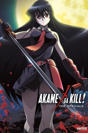 Akame ga Kill! temporada  0 online