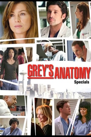 Anatomía de Grey Temporada 0 online gratis