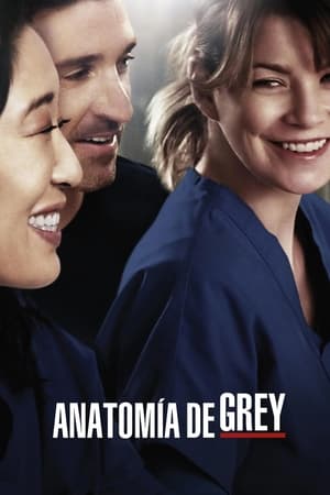 Anatomía de Grey Temporada 10 online gratis