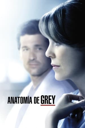 Anatomía de Grey T 11 C 23 online gratis