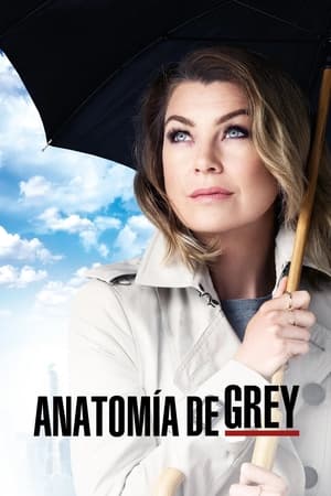 Anatomía de Grey Temporada 12 online gratis