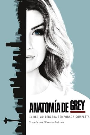 Anatomía de Grey Temporada 13 online gratis