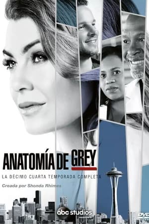 Anatomía de Grey Temporada 14 online gratis