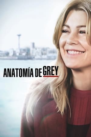 Anatomía de Grey T 15 C 10 online gratis