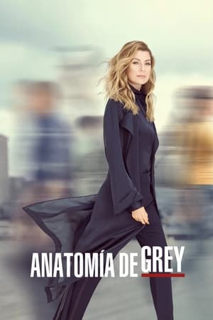 Anatomía de Grey Temporada 16 online gratis