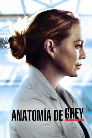 Anatomía de Grey T 17 C 11 online gratis