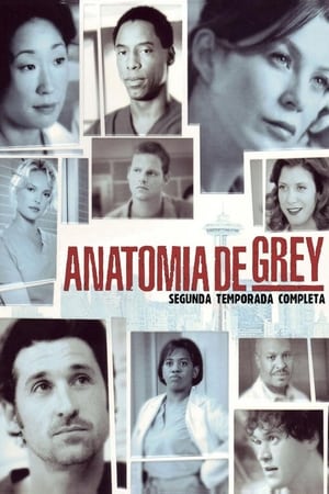 Anatomía de Grey T 2 C 17 online gratis