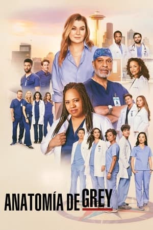 Anatomía de Grey Temporada 21 online gratis