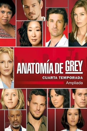 Anatomía de Grey T 4 C 9 online gratis