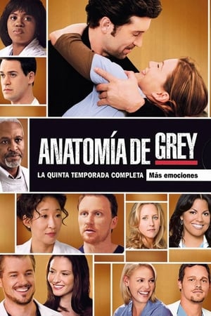 Anatomía de Grey T 5 C 12 online gratis