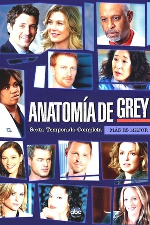 Anatomía de Grey T 6 C 5 online gratis