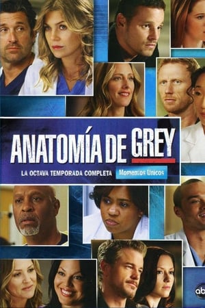 Anatomía de Grey T 8 C 18 online gratis