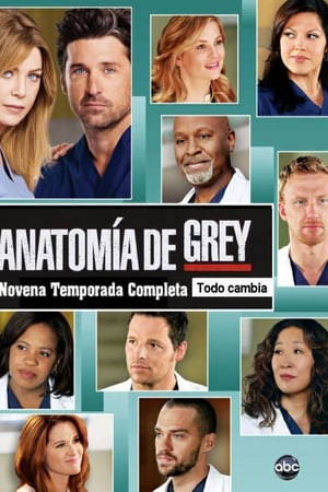 Anatomía de Grey T 9 C 5 online gratis