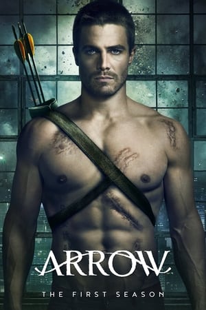 Arrow Temporada 1 online gratis