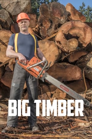 Big Timber T 1 C 7 online gratis