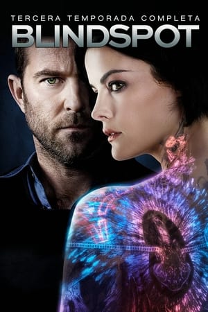 Blindspot T 3 C 17 online gratis