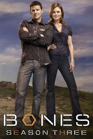 Bones temporada  3 online