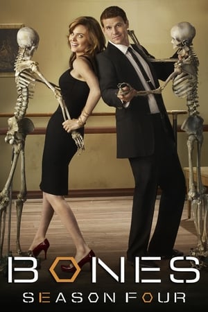 Bones temporada  4 online