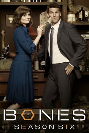 Bones temporada  6 online