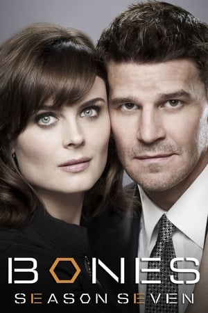 Bones temporada  7 online