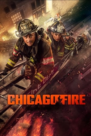 Chicago Fire temporada  13 online