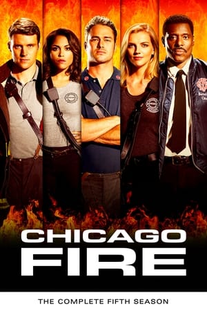 Chicago Fire T 5 C 18 online gratis