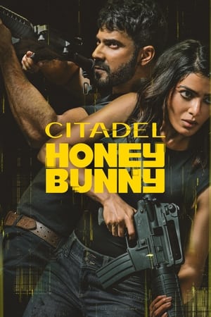 Citadel Honey Bunny temporada  1 online