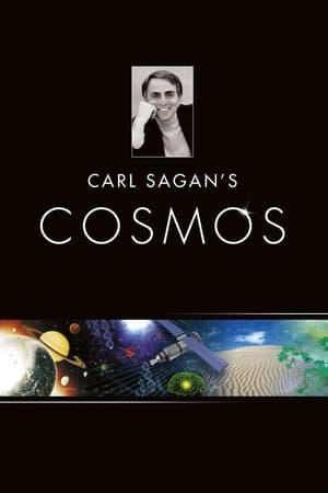 Cosmos: Un viaje personal T 1 C 1 online gratis