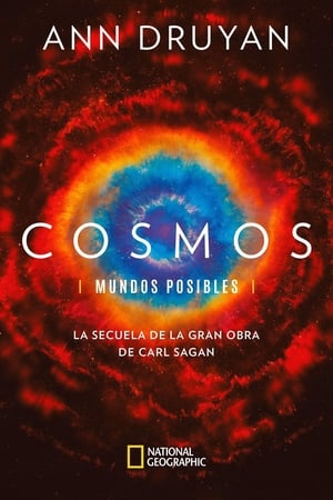 Cosmos: Una odisea en el espacio-tiempo T 2 C 13 online gratis