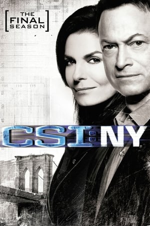 CSI: Nueva York temporada  9 online