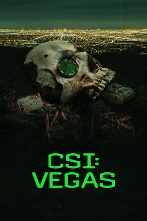 CSI: Vegas temporada  1 online