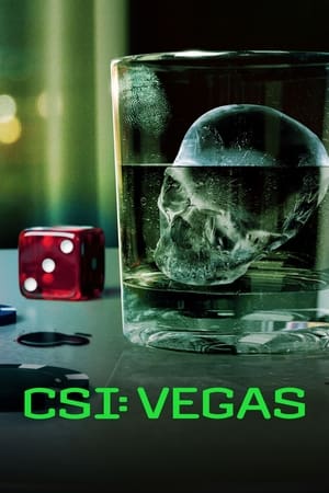 CSI: Vegas temporada  3 online