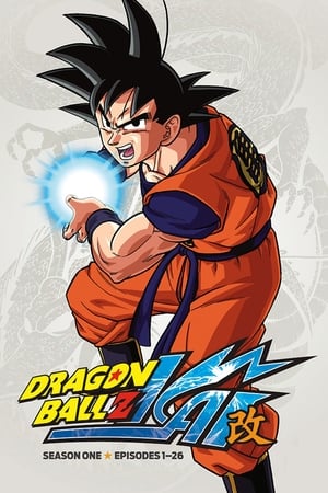 Dragon Ball Kai T 1 C 22 online gratis