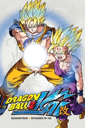 Dragon Ball Kai temporada  4 online