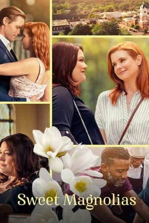 Dulces magnolias Temporada 2 online gratis