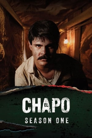 El Chapo Temporada 1 online gratis