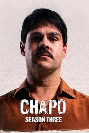 El Chapo Temporada 3 online gratis