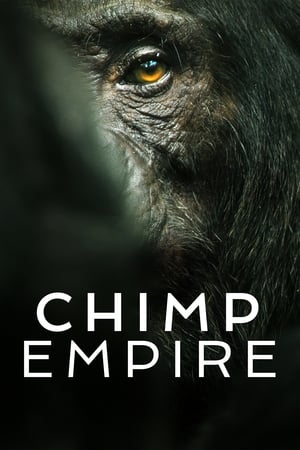 El imperio de los chimpancés T 1 C 3 online gratis