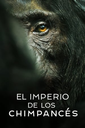 El imperio de los chimpancés Online gratis