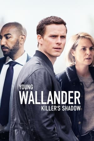 El joven Wallander temporada  2 online