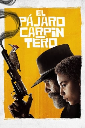 Ver El pájaro carpintero Online Gratis en HD | SeriesGratis.ink