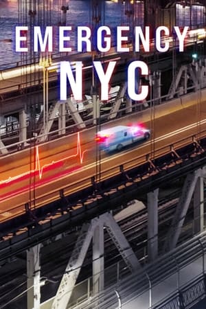 Emergencias: Nueva York Temporada 1 online gratis