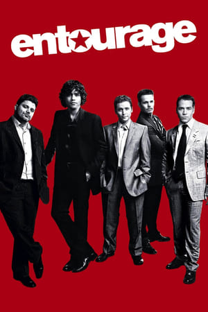 Entourage: El séquito temporada  4 online