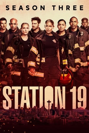 Estación 19 Temporada 3 online gratis