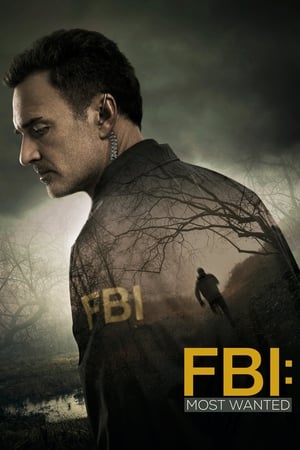 FBI: Most Wanted T 1 C 12 online gratis