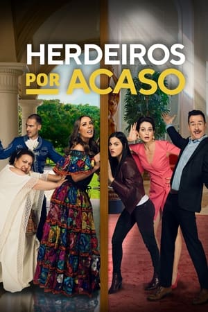 Herederos por accidente Temporada 1 online gratis