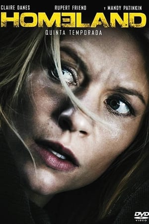 Homeland T 5 C 7 online gratis