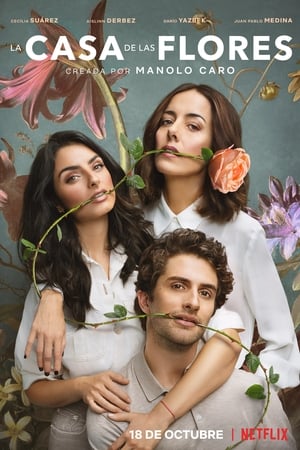 La casa de las flores Temporada 2 online gratis