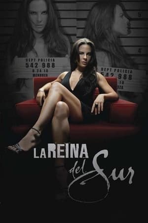 La Reina del Sur Temporada 1 online gratis