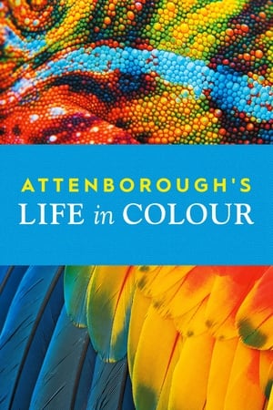 La vida a todo color, con David Attenborough temporada  1 online